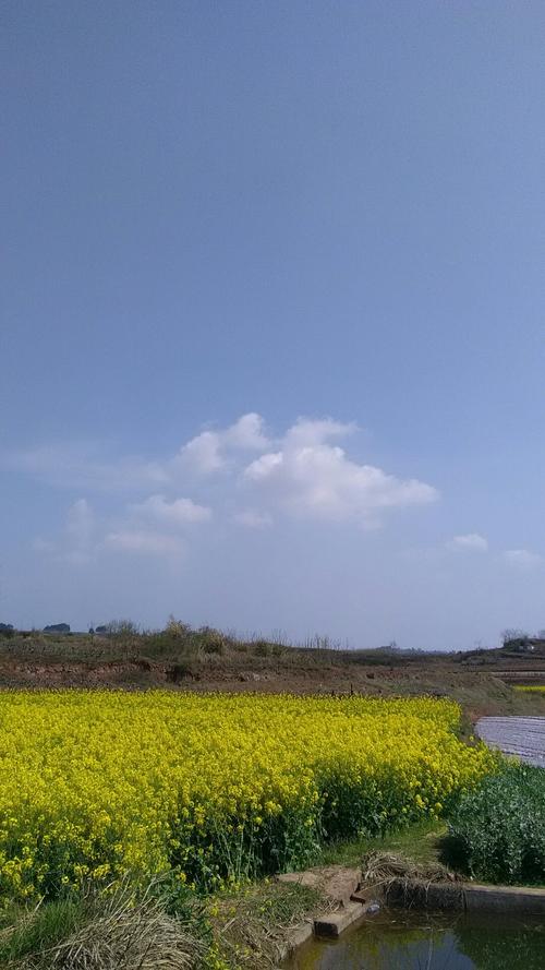 沙楼村天气预报更新通知