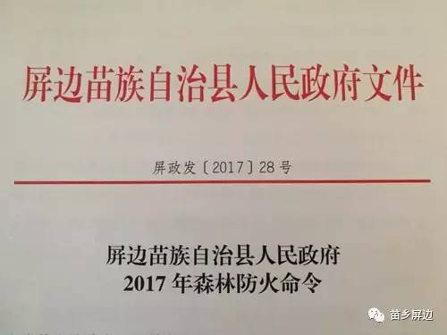 屏边苗族自治县初中人事任命揭晓，塑造教育新局面