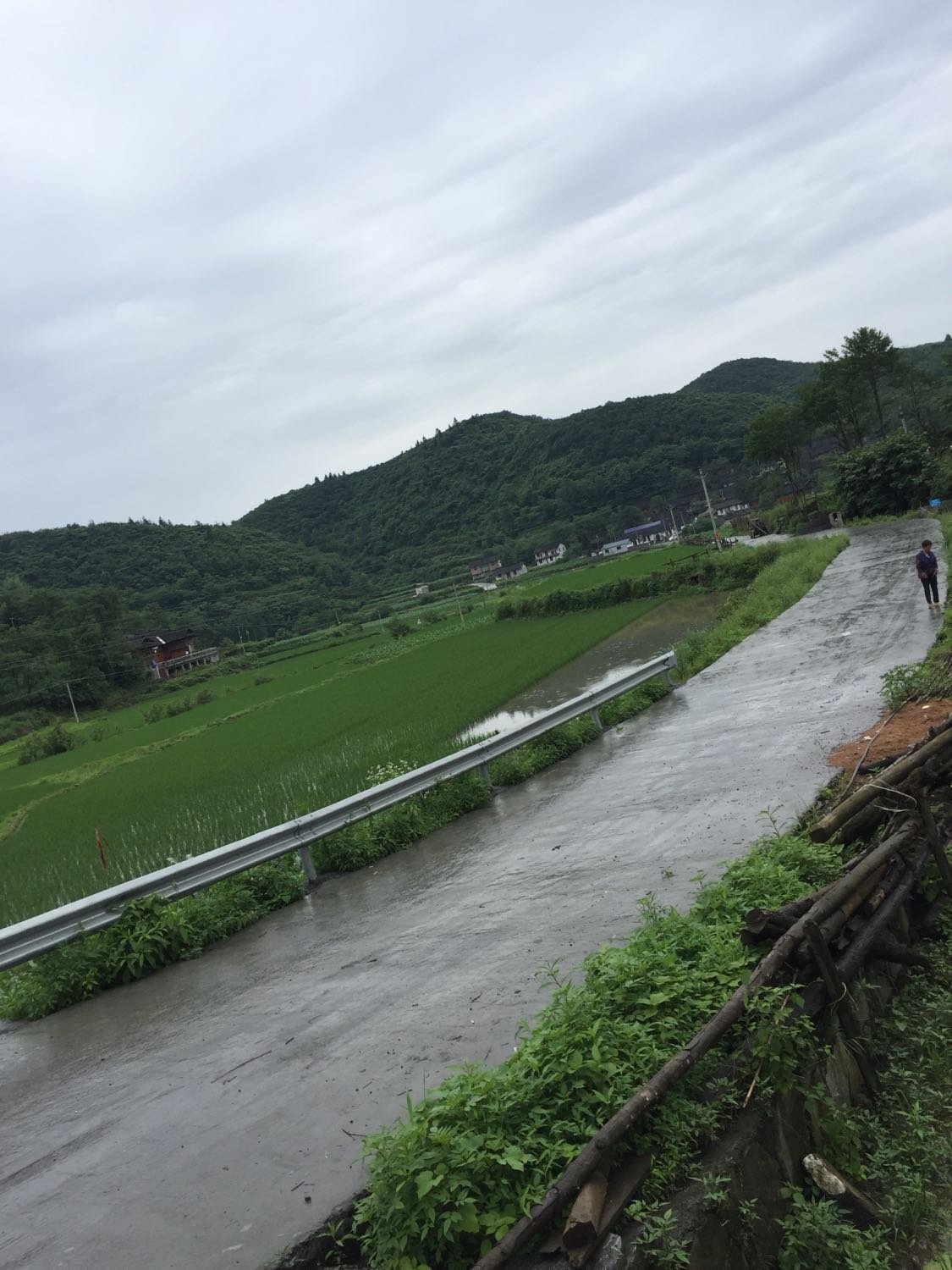 杜川村民委员会天气预报更新通知