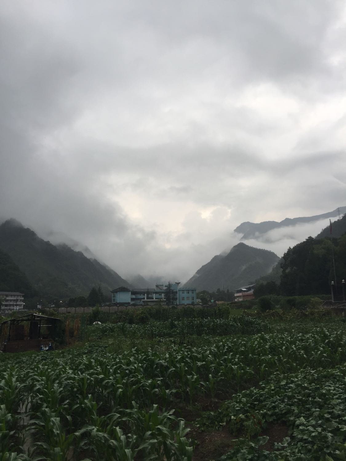 红山乡天气预报更新通知