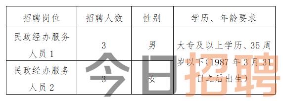 潮阳区民政局最新招聘信息全面解析