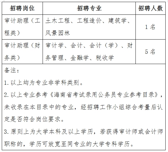 城区审计局最新招聘信息，启航新审计之旅