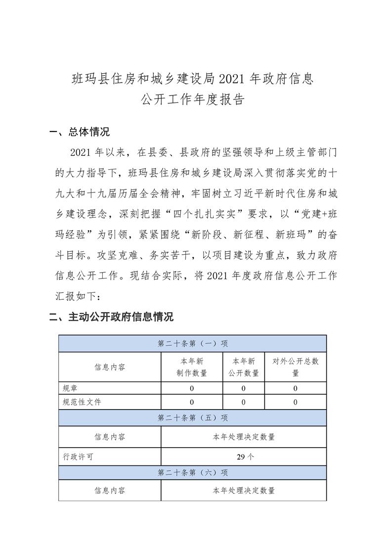 盐边县数据和政务服务局最新发展规划深度探讨