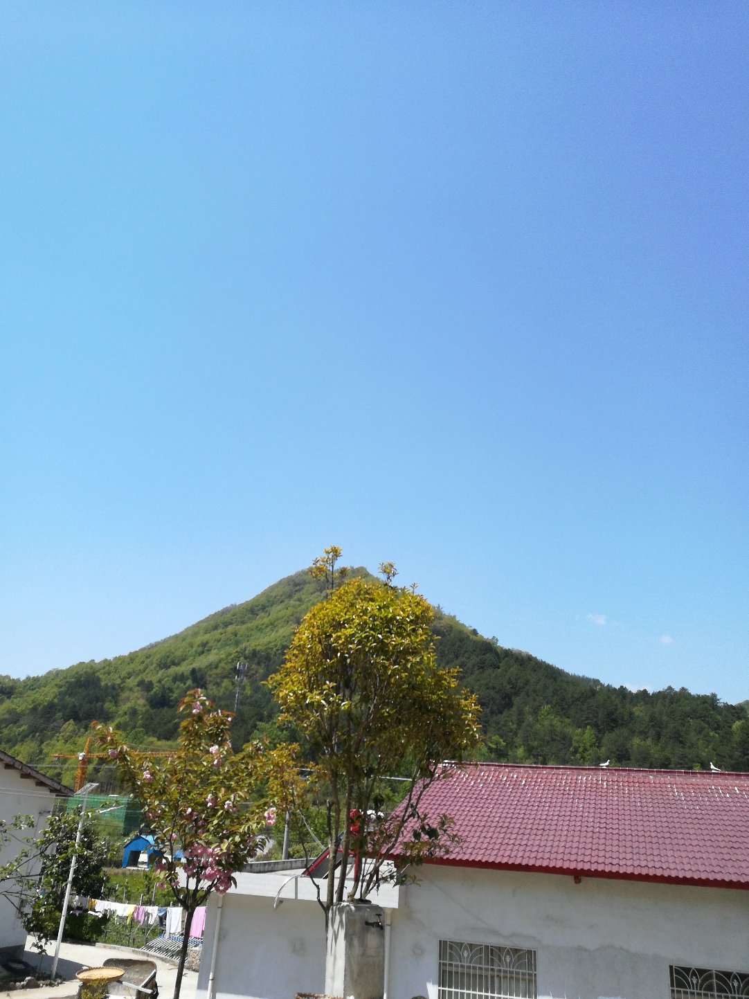 小金湾乡天气预报更新通知