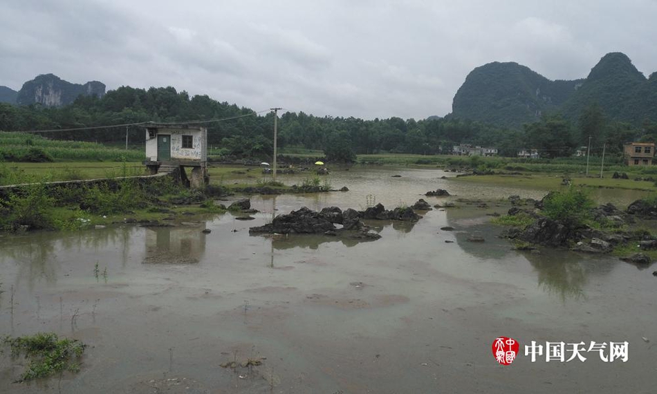 化峒镇最新天气预报信息