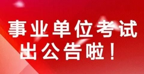 沙县审计局招聘信息发布及相关内容解读