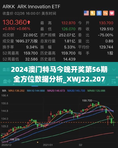 澳门特马,深入数据执行应用_限量版65.104