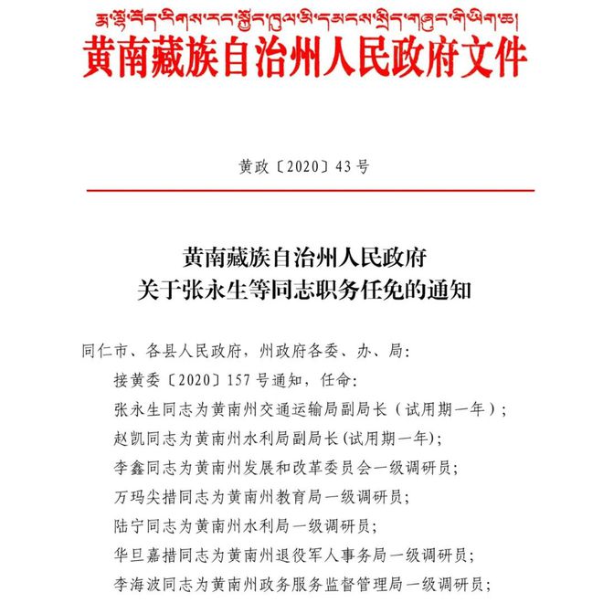 伊春区民政局人事任命动态更新