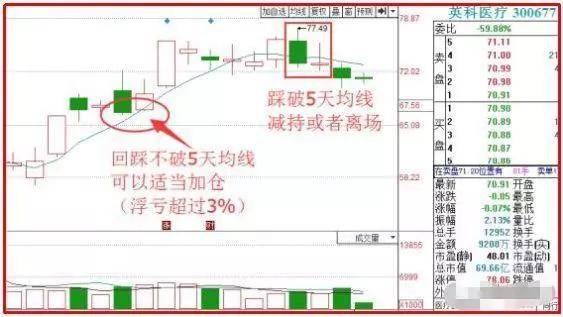 澳门天天开彩期期精准,高速响应方案规划_win305.210