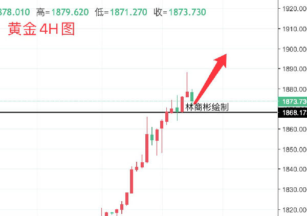 新澳黄金六肖i,实地评估策略_顶级款53.624