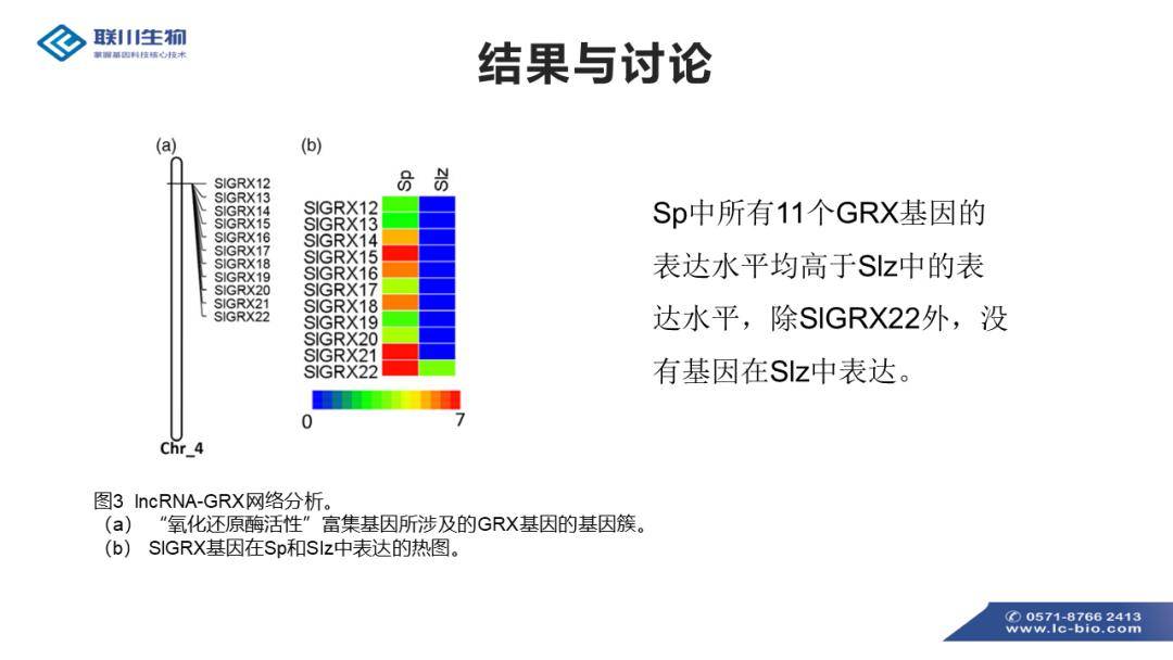 新澳最新内部资料,调整方案执行细节_1080p75.512