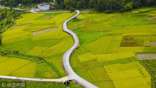 万昌镇（岔路河特色农业经济开发区）天气预报更新