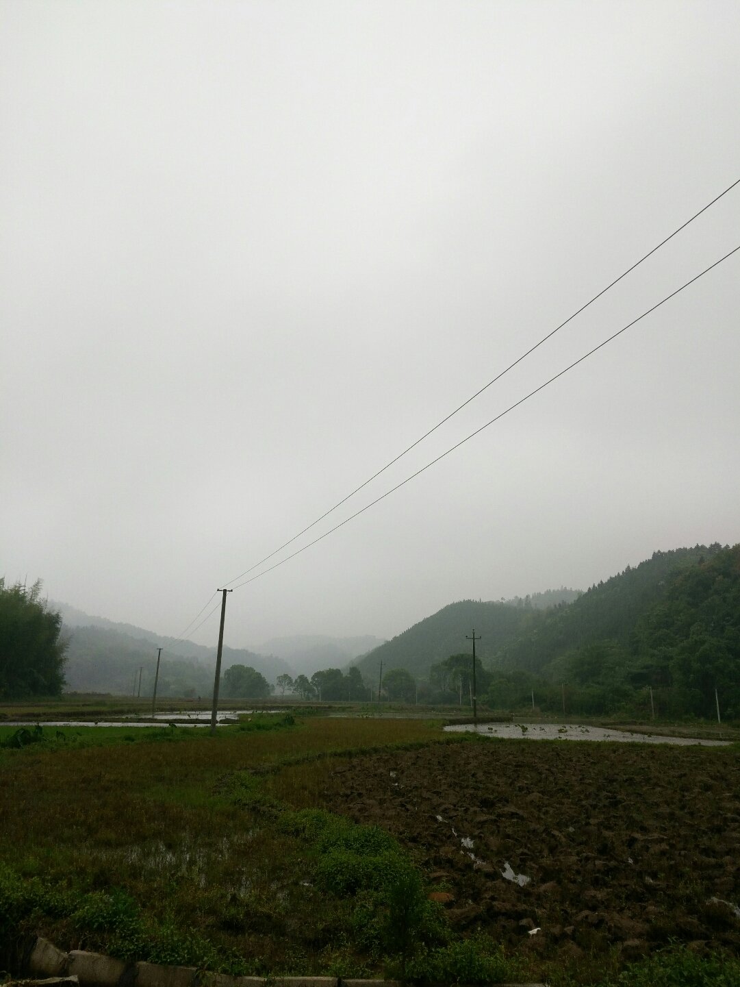 峡阳镇天气预报更新通知