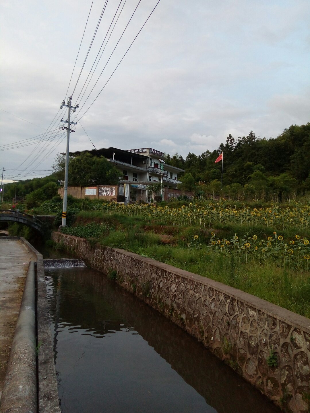 沈潭镇天气预报更新通知