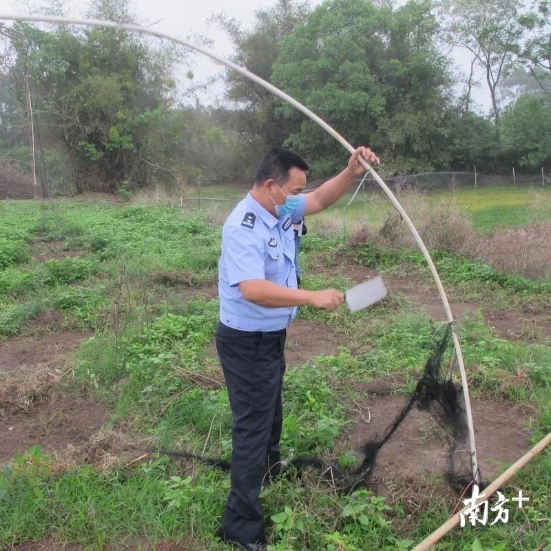 高红村委会天气预报更新通知