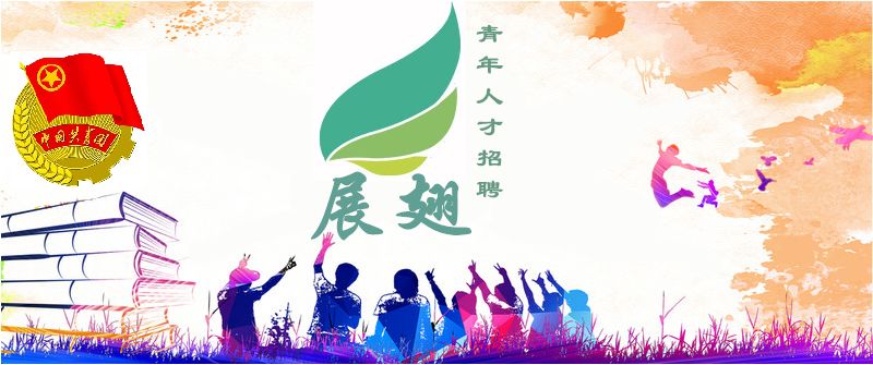 茂南区小学最新招聘资讯总览