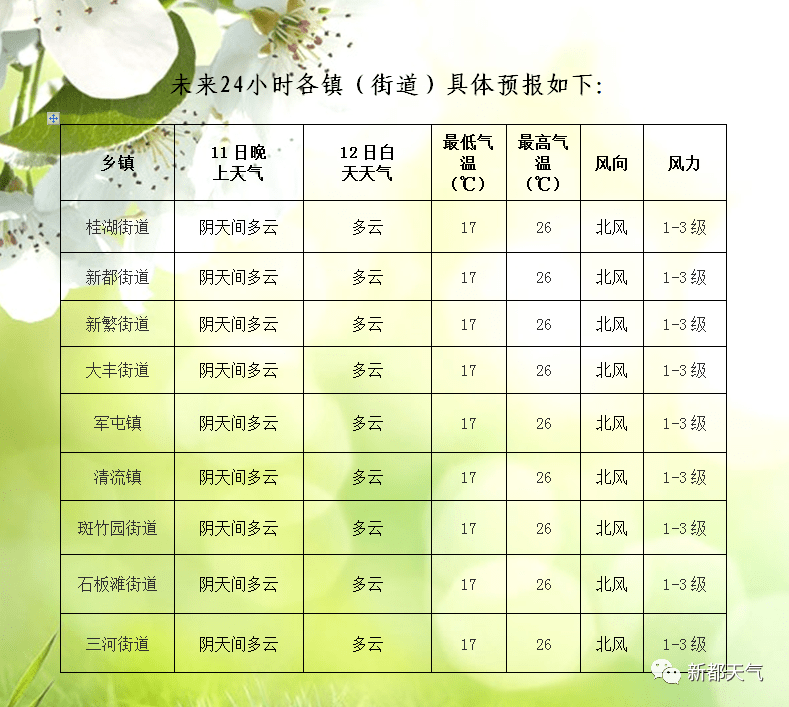 车站社区天气预报更新及其对生活的影响