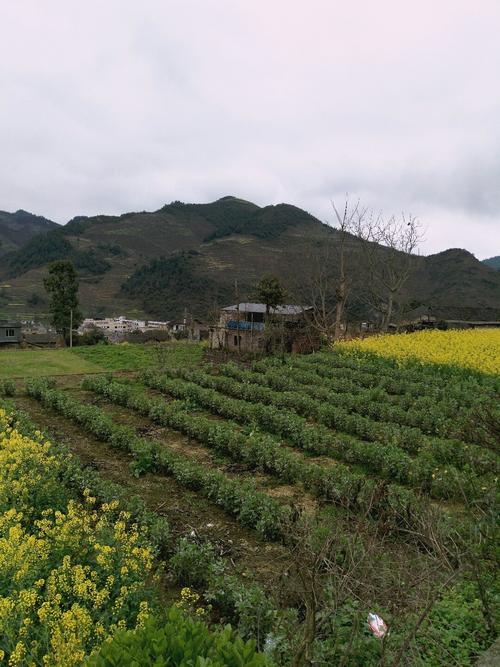 略觉村天气预报更新通知