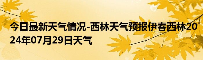 碧水林场天气预报更新通知