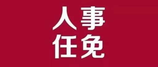 云梦县审计局人事任命启动，新篇章推动审计事业发展