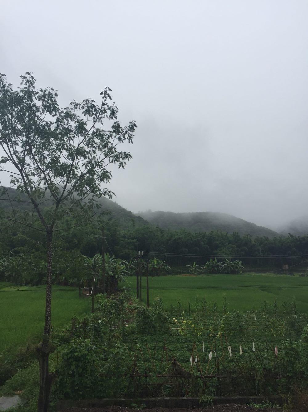 查达村今日天气预报通知