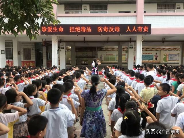 鹿寨县小学创新项目，引领教育变革，塑造未来之光