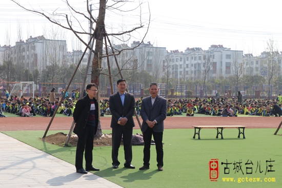 台儿庄区小学最新动态报道