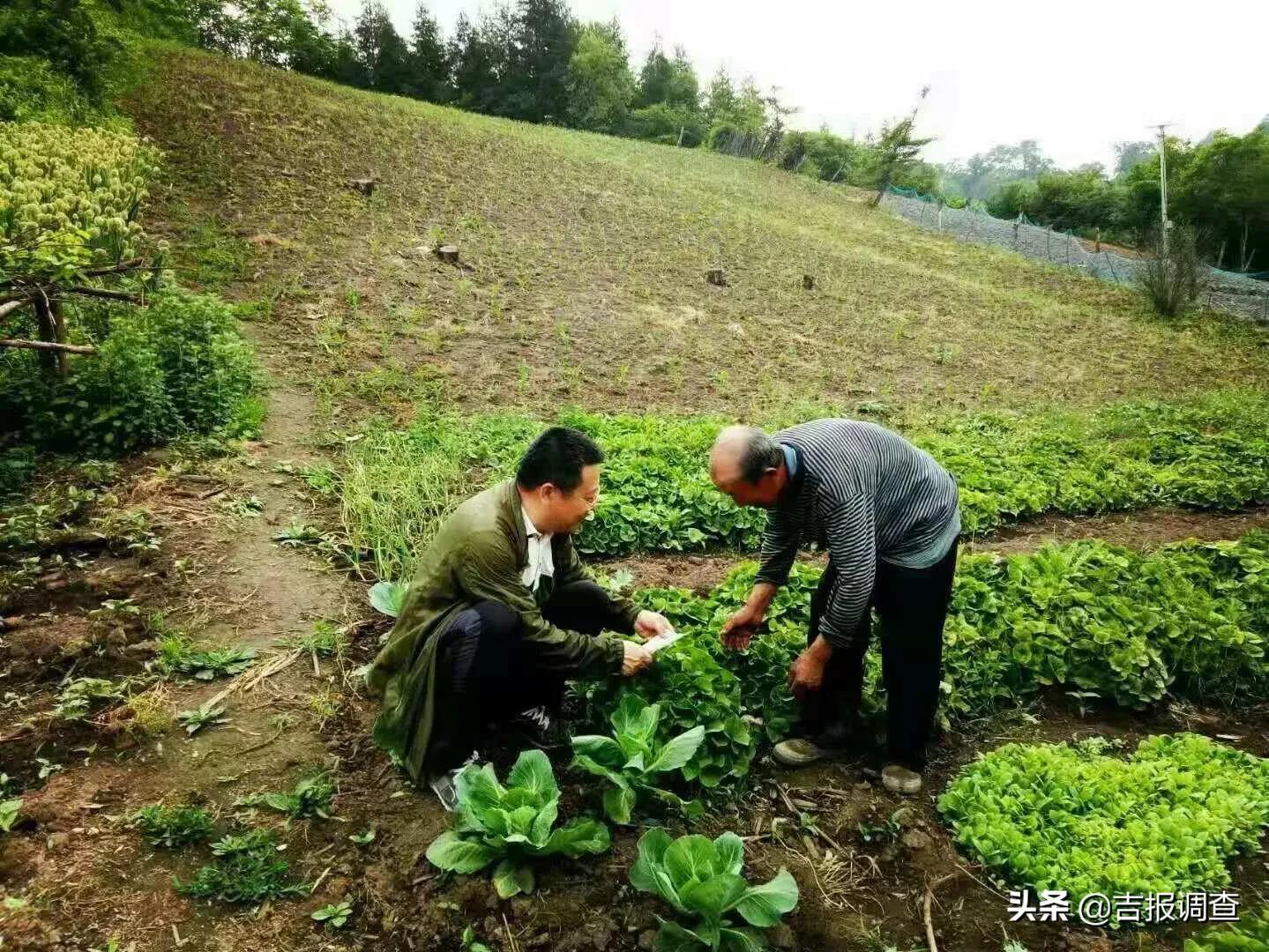 彩虹彼岸