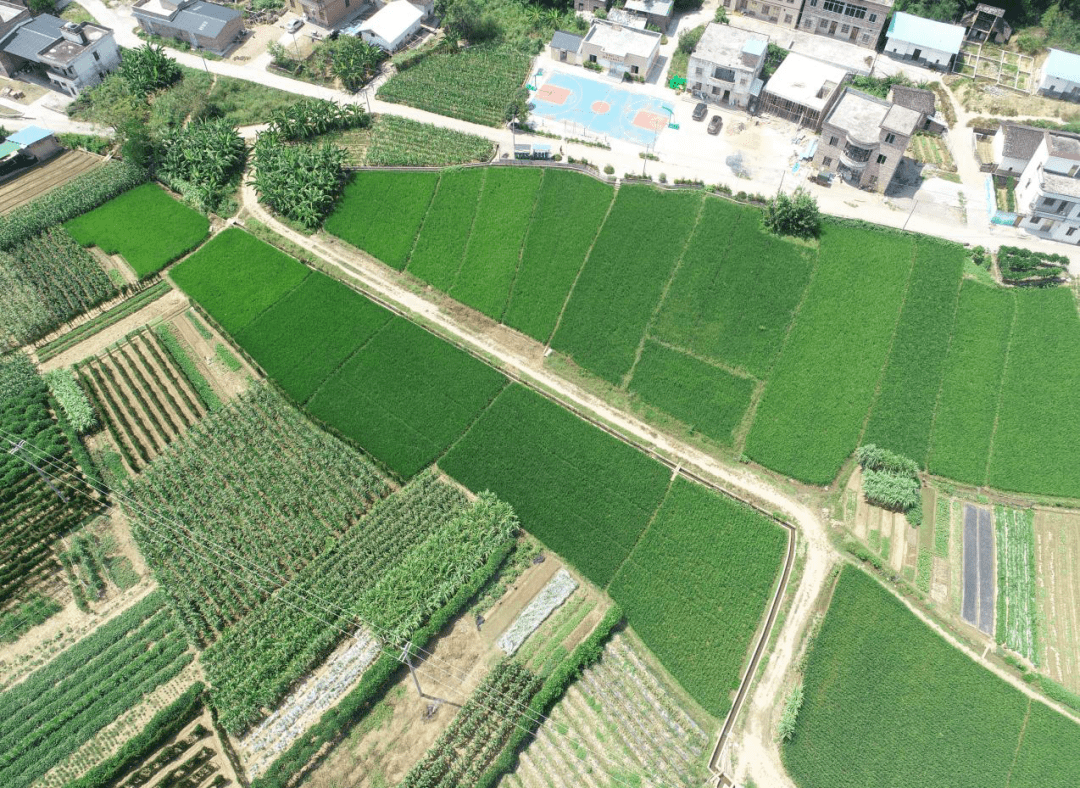 朱阳山村民委员会天气预报更新通知