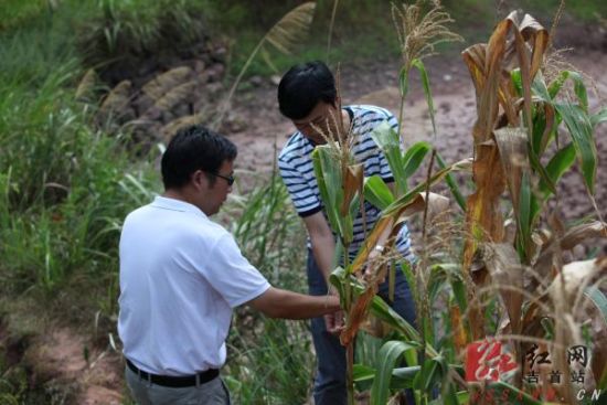 排绸乡领导最新概览