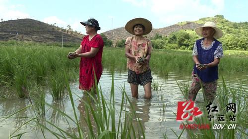 宁远县市场监督管理局最新发展规划概览