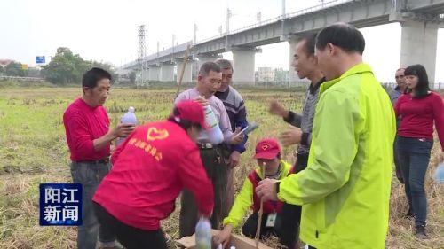 阳东县市场监督管理局最新发展规划