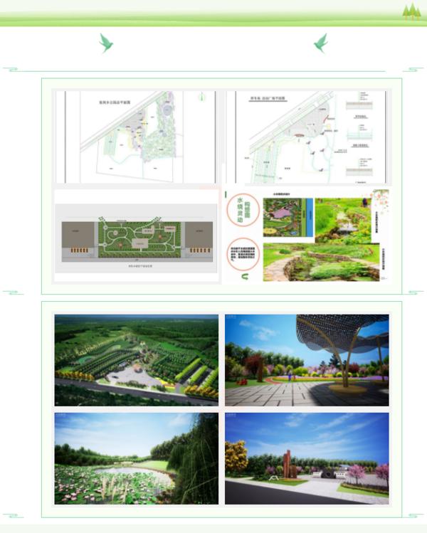 张岗乡最新项目，引领乡村发展的强大引擎