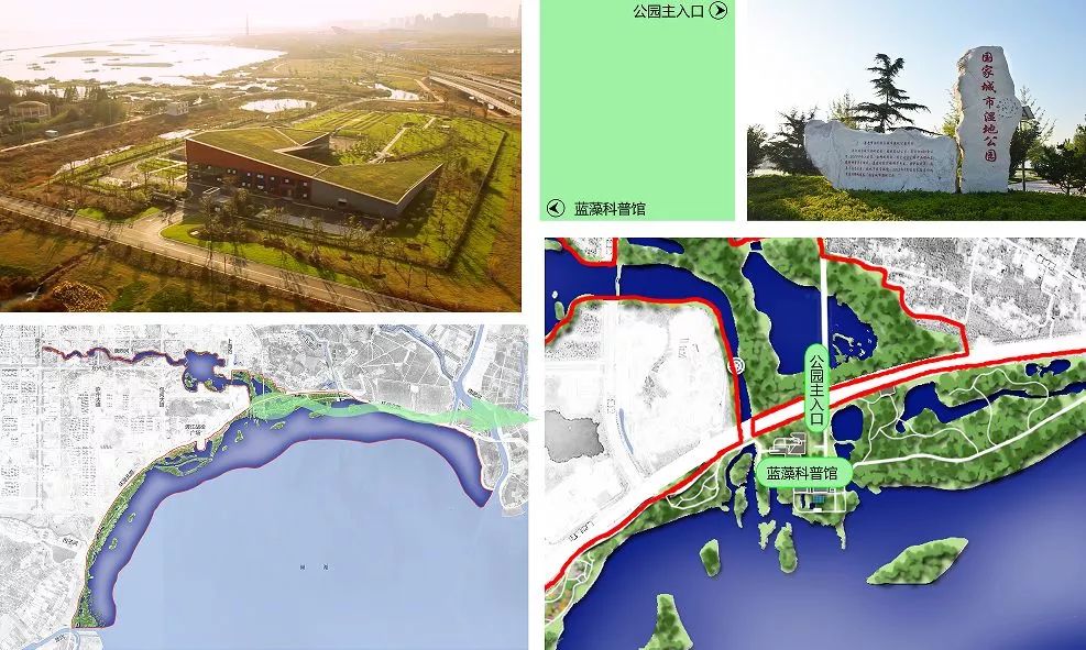 巢湖市园林管理局最新发展规划概览