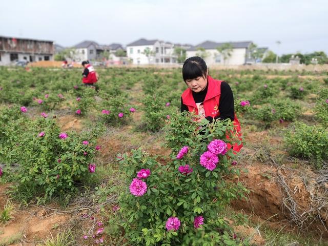 泗安最新项目——引领地区发展的璀璨明珠之光