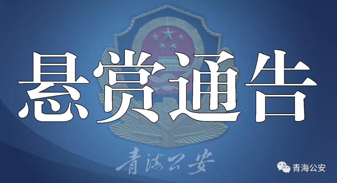 东川区公安局最新项目，推动警务现代化，提升社会治安水平