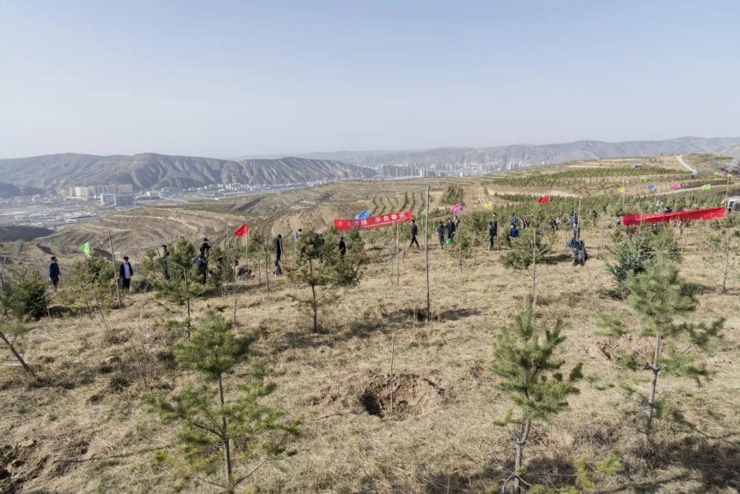 定西市国土资源局最新招聘启事概览