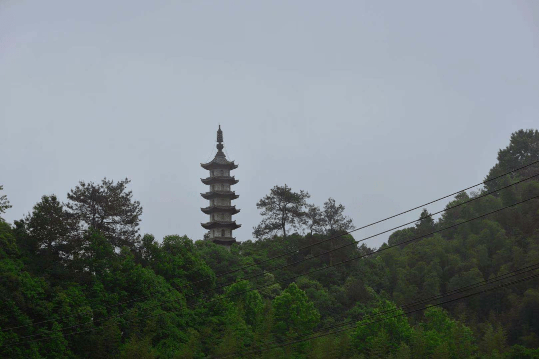 仙霞镇新项目，引领地方发展的璀璨明珠