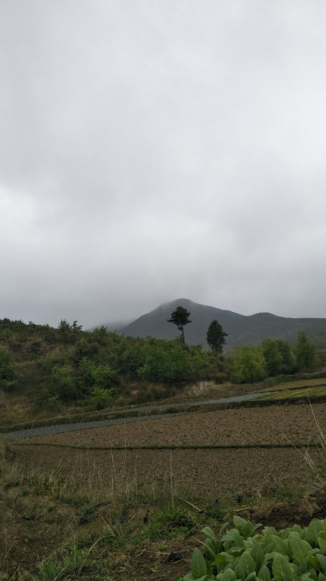 横涧乡最新天气预报通知